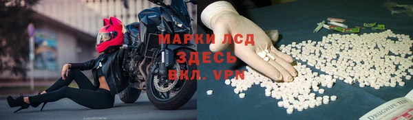 ГАЛЛЮЦИНОГЕННЫЕ ГРИБЫ Алексеевка