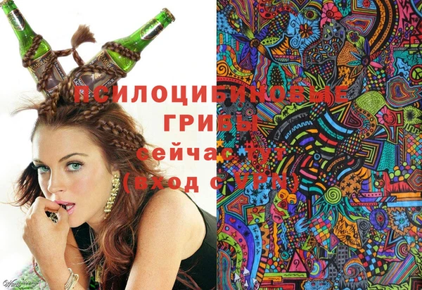 спиды Алзамай