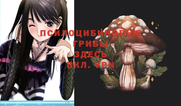 спиды Алзамай