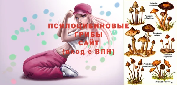 ГАЛЛЮЦИНОГЕННЫЕ ГРИБЫ Алексеевка
